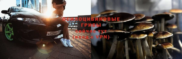 бошки Алзамай